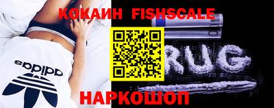 дмт Кимры