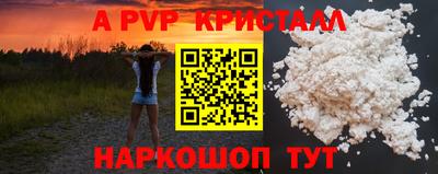индика Кингисепп