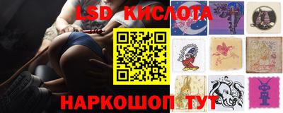 индика Кингисепп