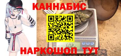 индика Кингисепп