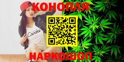 индика Кингисепп