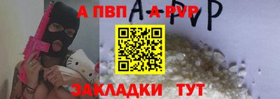 индика Кингисепп