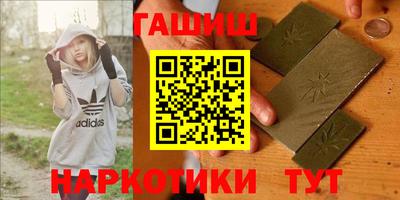 индика Кингисепп