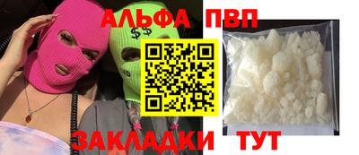 индика Кингисепп