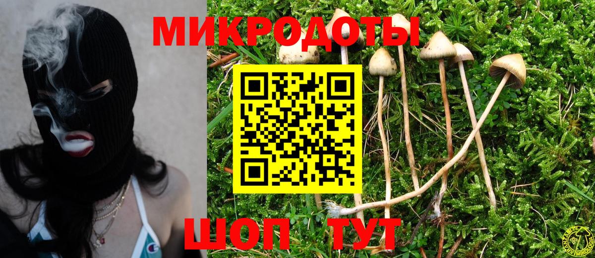 Галлюциногенные грибы Cubensis Курчатов