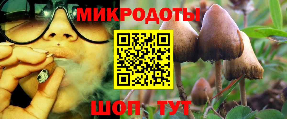 Галлюциногенные грибы мухоморы  Вход с VPN  наркотики  Курчатов  Галлюциногенные грибы Cubensis 